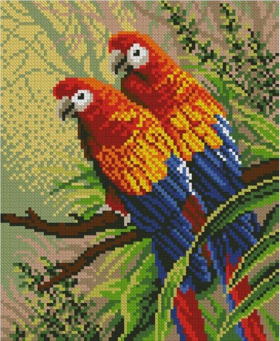 Яркие попугаи-неразлучники, вышитые крестиком