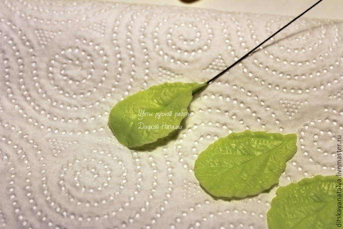 Кальцеолярия из полимерной глины