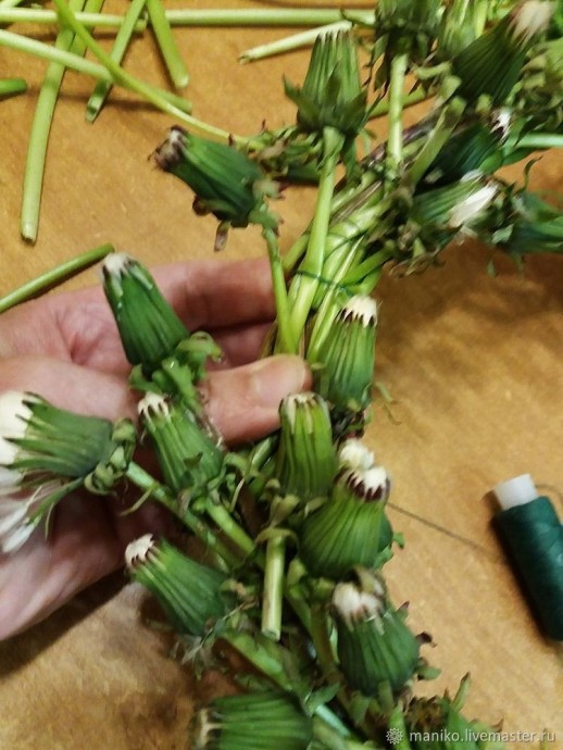 Венок из одуванчиков