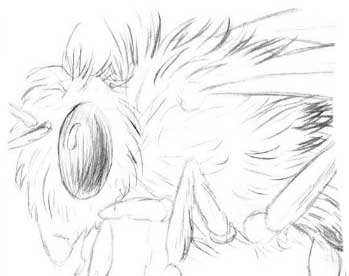 Рисуем пчелу