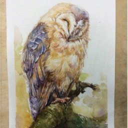 Рисуем сову