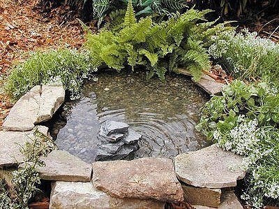 Декоративный пруд своими руками