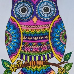 Антистрессовые раскраски с совами