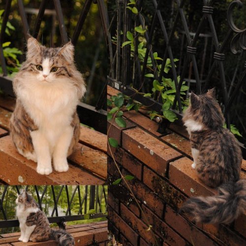 Невероятно реалистичные войлочные животные от японского художника Miru