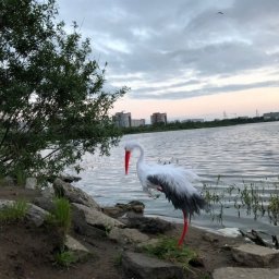 Аист для украшения дачного участка