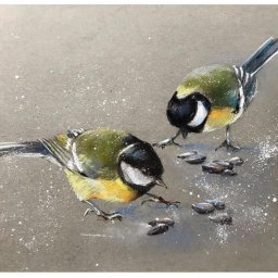 Урок рисования цветными карандашами: синички