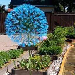 ​Вечный цветок для двора