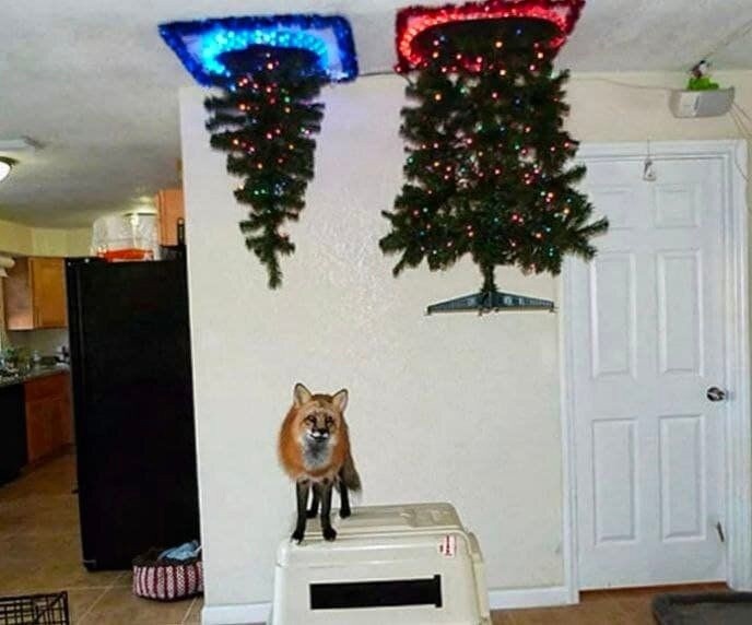 ​Антивандальные варианты ёлочек