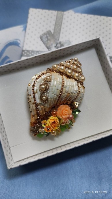 ​Изумительные ракушечки