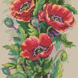 ​Роскошный букет маков