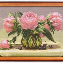 ​Нежные розовые пионы