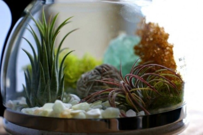 Превращаем старый чайник в цветущий террариум: мастер-класс