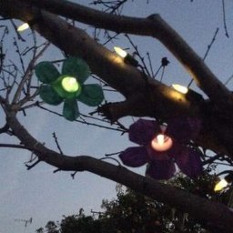 Светящиеся цветы из пластиковых бутылок