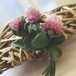 ​Цветок клевера на удачу