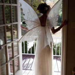 Крылышки феечки