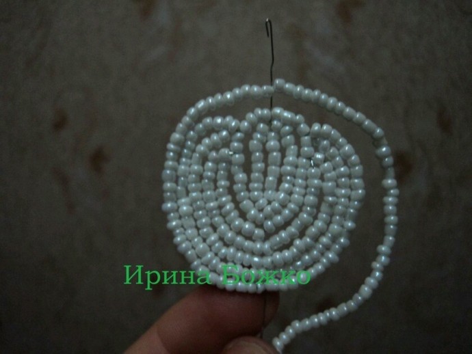 Белая орхидея