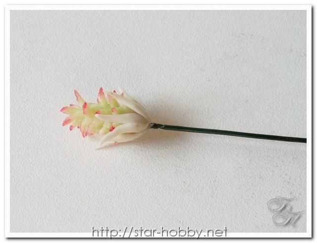 Мастер-класс по лепке магнолии