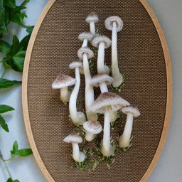 Объемная вышивка грибов: невероятные идеи