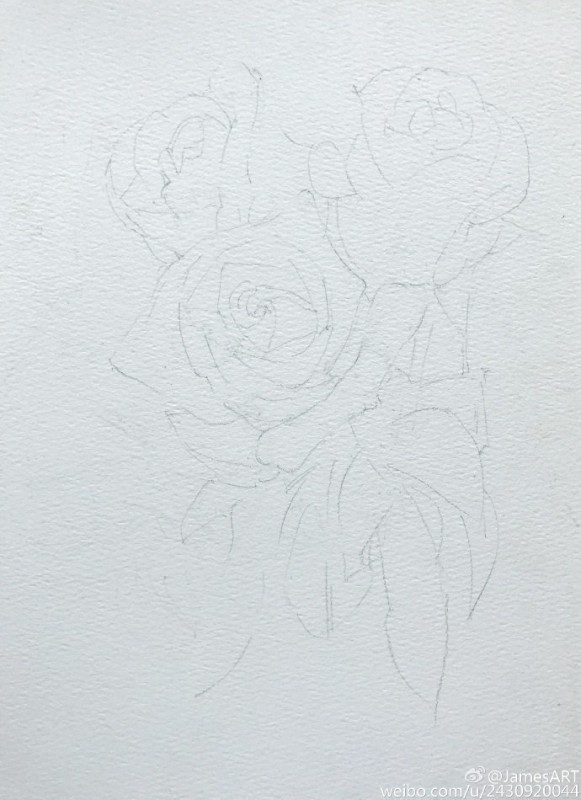 Розы акварелью Розы акварелью