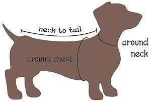 Худи для собачки с выкройкой