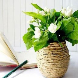 ​Ваза из стеклянной банки