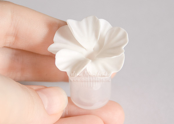 Лепим примулу