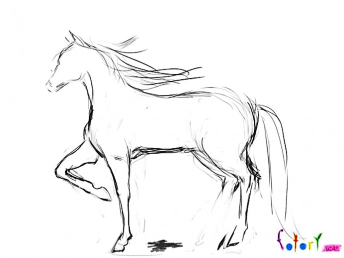 Рисуем лошадь