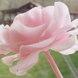 ​Холодный фарфор (без варки)