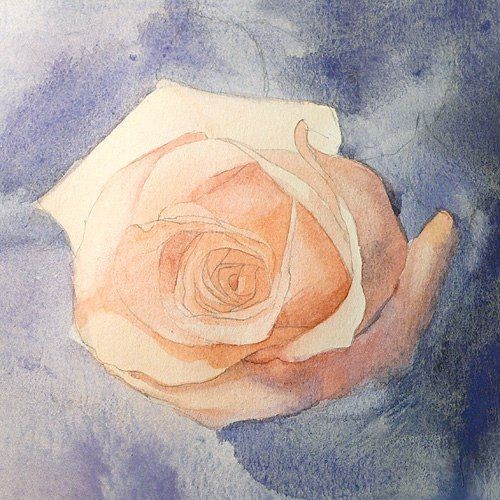 Рисуем розу акварелью