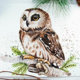 Сова акварелью