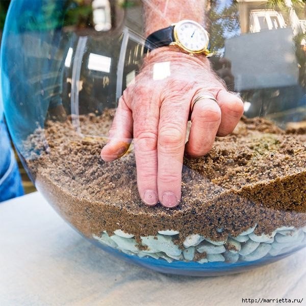 Флорариум своими руками