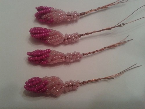 Бонсай адениум: мастер-класс