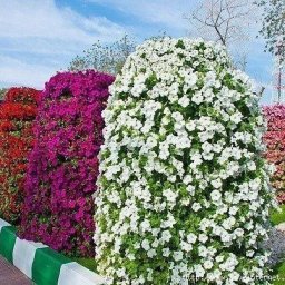 Вертикальная клумба с петунией