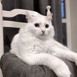 ​Преображение старого стула