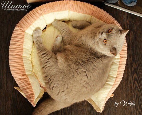 Красивая кроватка для кошки