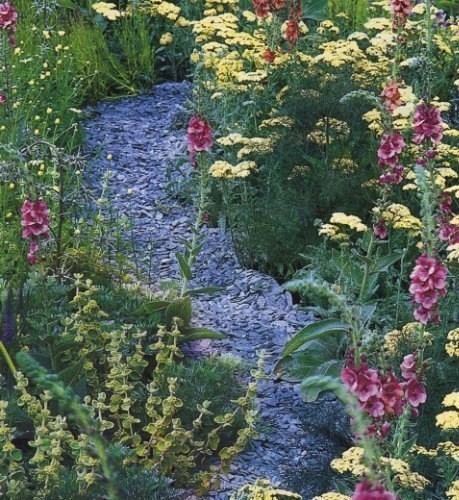 Идея сухих ручьев в саду