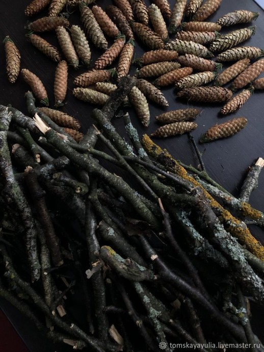 Кормушка синичкам Кормушка синичкам