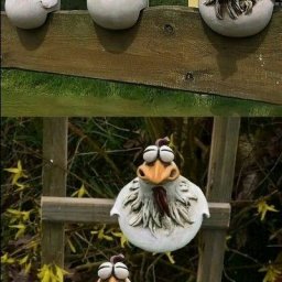 ​Садовые курочки