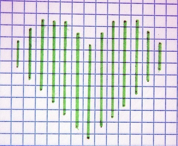 Техника вышивки гладью листика