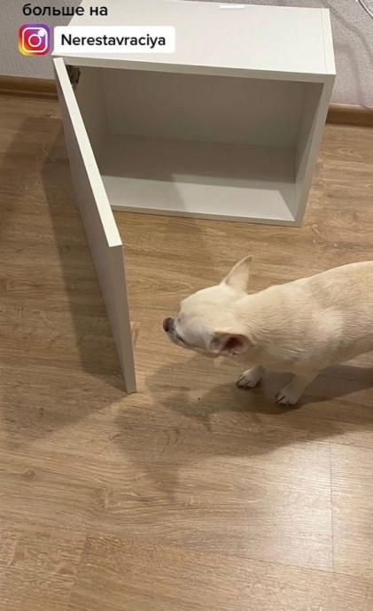 Вторая жизнь старой мебели