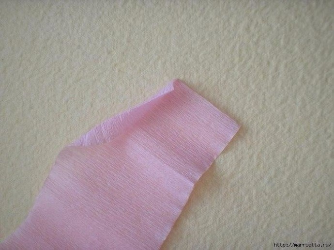 Цветы из гофрированной бумаги Цветы из гофрированной бумаги