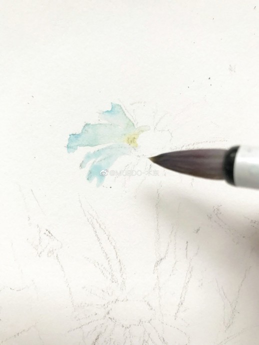 Урок рисования акварелью: ромашки