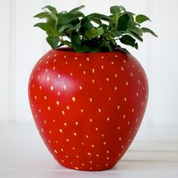 Большая клубника