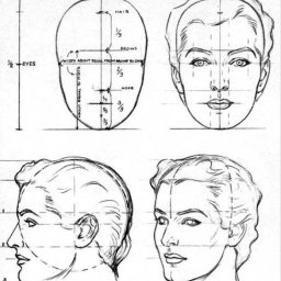 Пропорции на рисунке