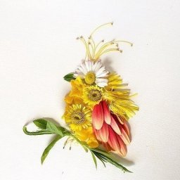 ​Птицы и не только из цветов