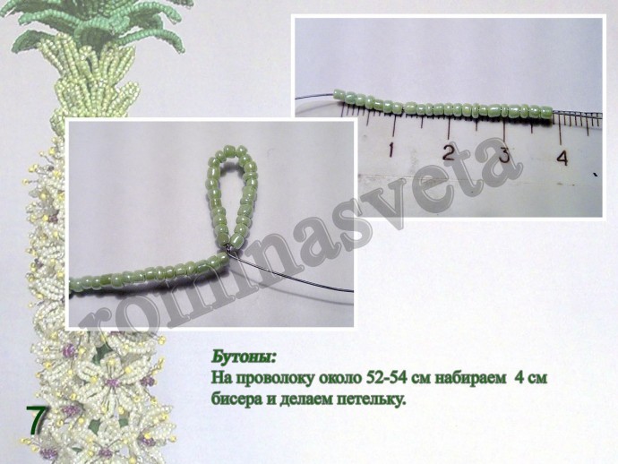 ​Восхитительный эукомис