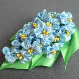 ​Нежные маленькие голубые цветы