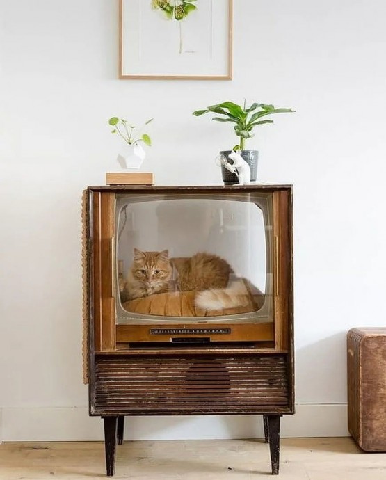 Использование старых телевизоров для кошек