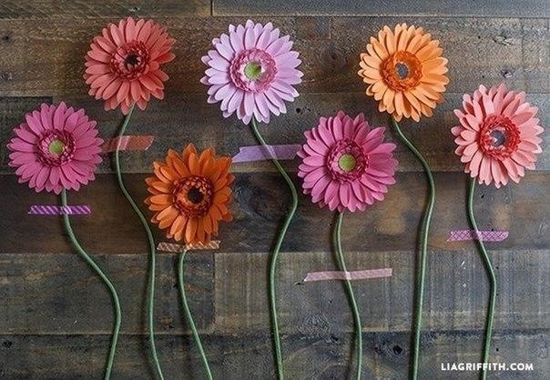 Герберы из бумаги: мастер-класс