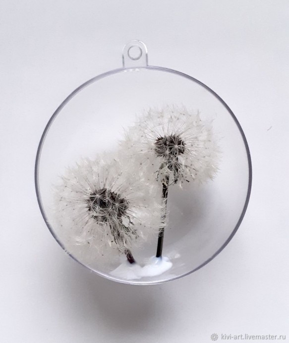 Одуванчиковое счастье